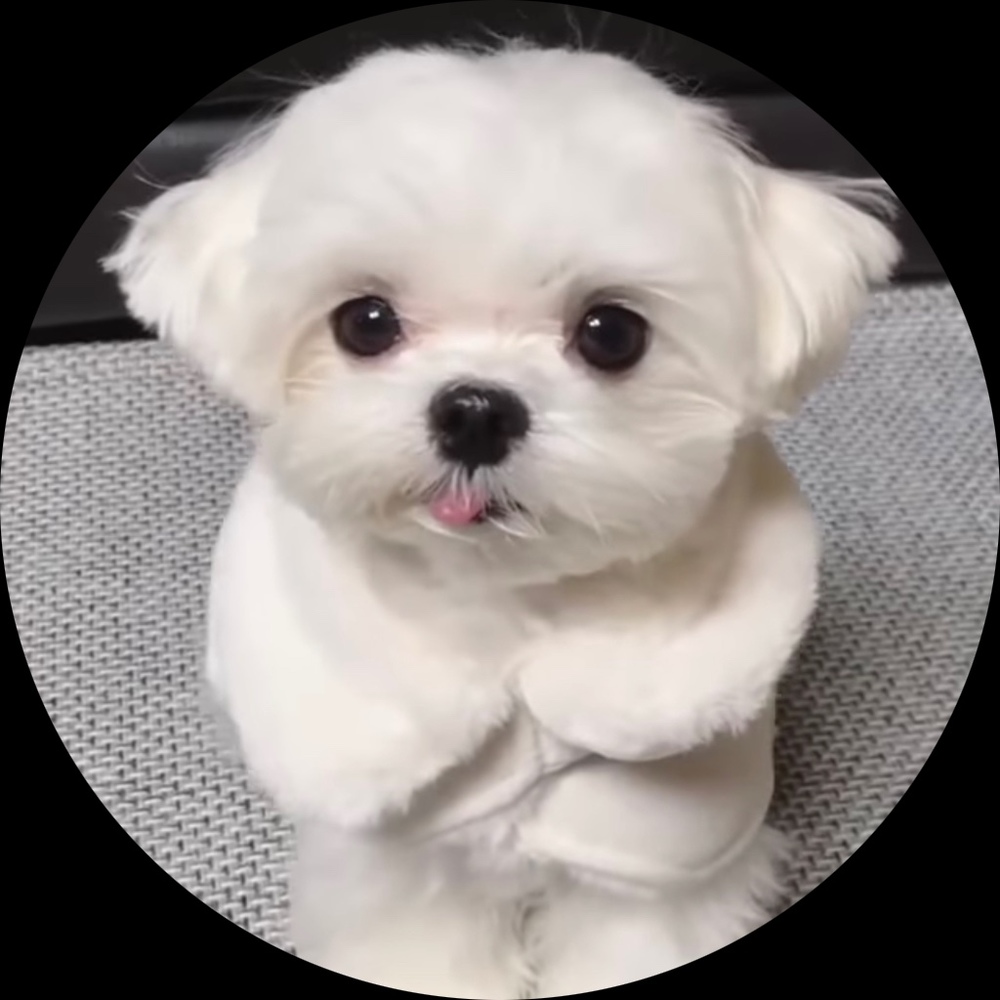 Meet your Posher, Miss